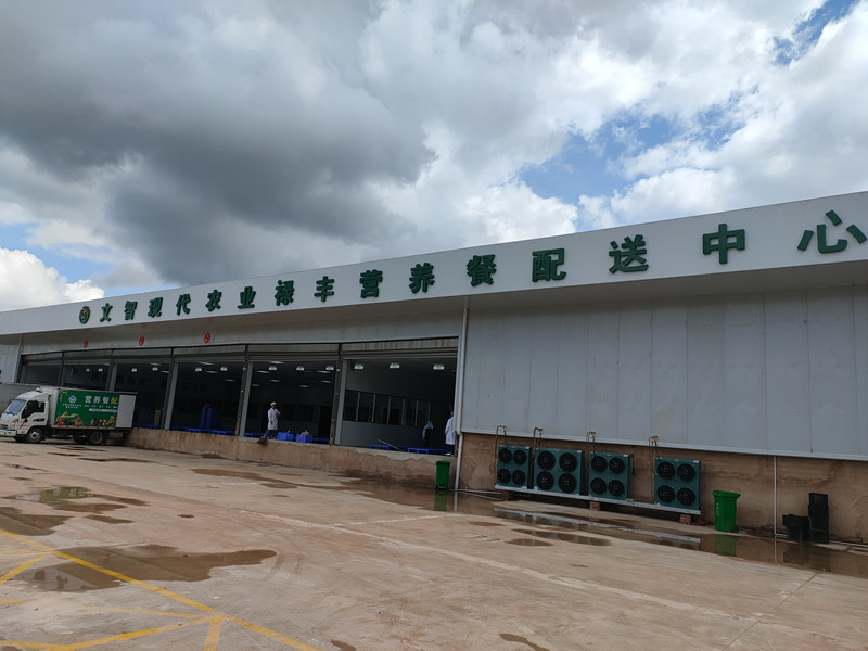 禄丰公司简介