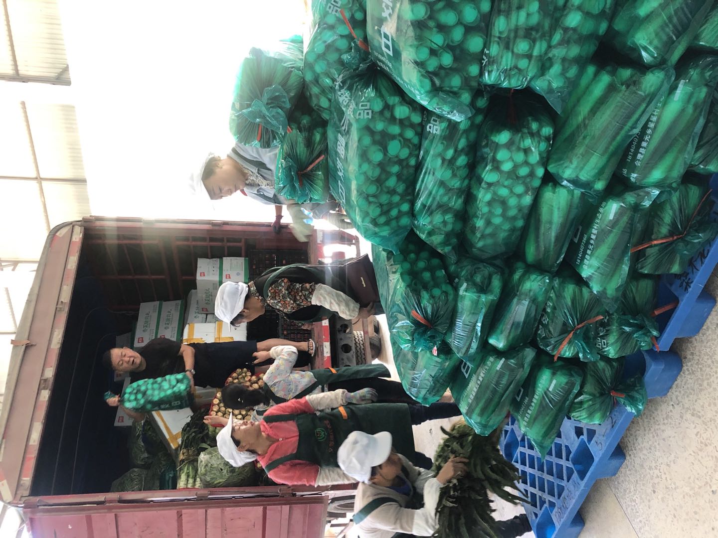 漾濞文智农业发展有限公司2021年大理抗震救灾