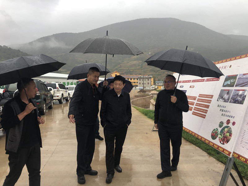 中央易地扶贫搬迁检查组一行领导莅临 宁蒗文智现代农业开发有限公司参观考察