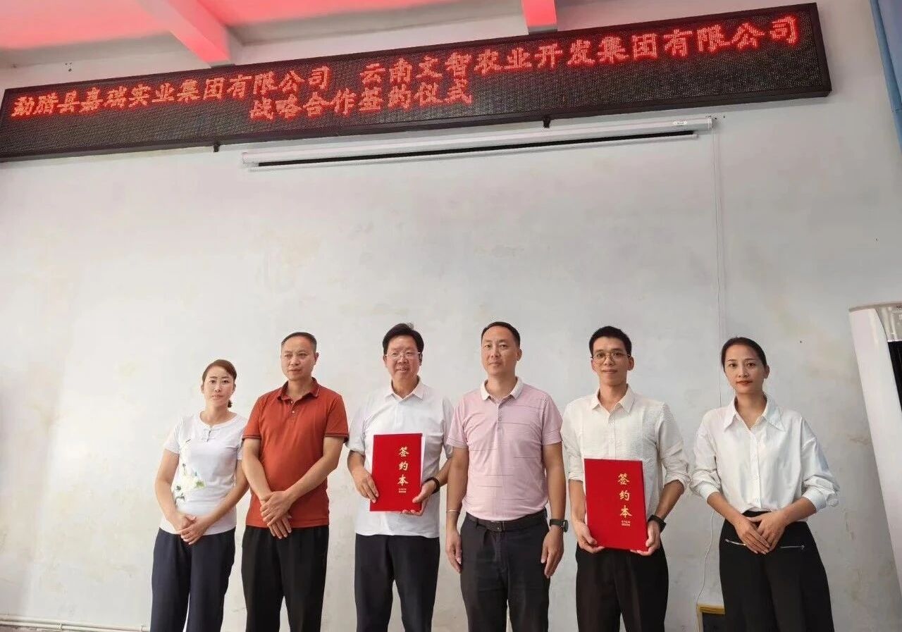 【战略携手 共绘蓝图】勐腊嘉瑞实业集团与云南文智集团签订战略合作协议
