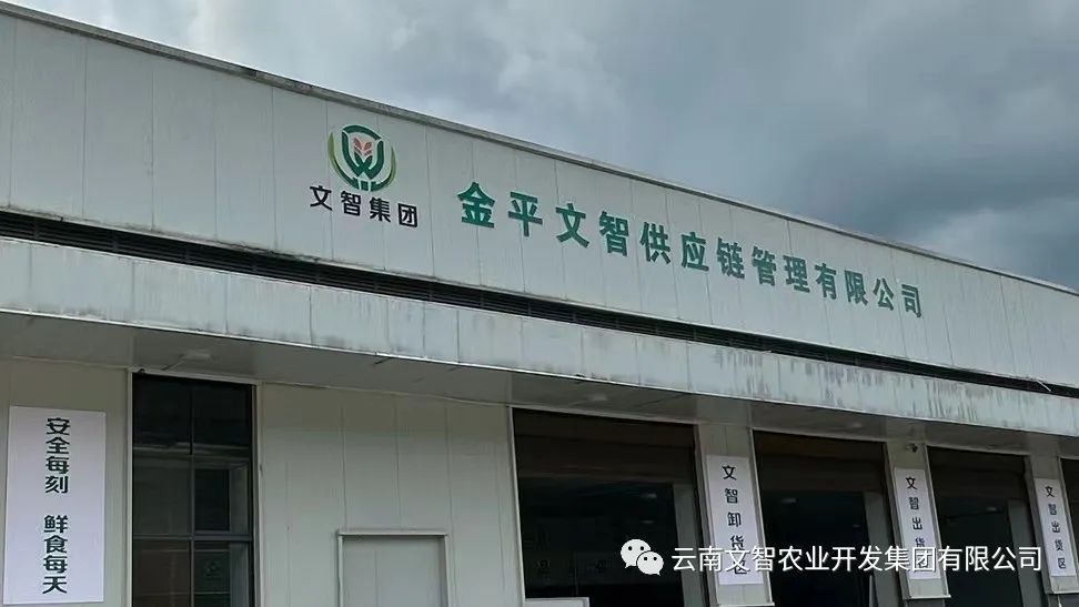 热烈欢迎金平县市场监督管理局领导到金平文智开展安全检查和宣讲工作