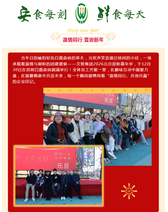 温情同行 喜迎新年丨文智集团2026元旦嘉年华团建圆满落幕